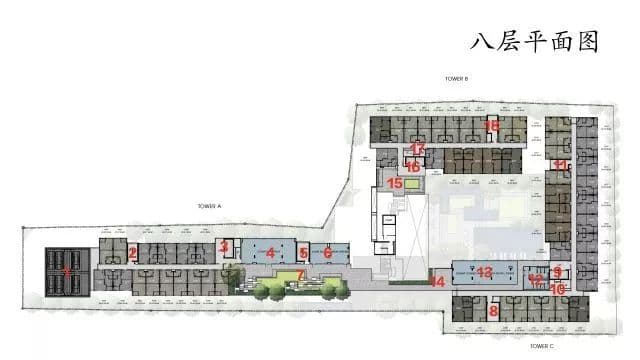 平面图