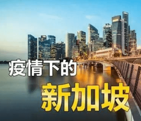 新加坡5月最新资讯