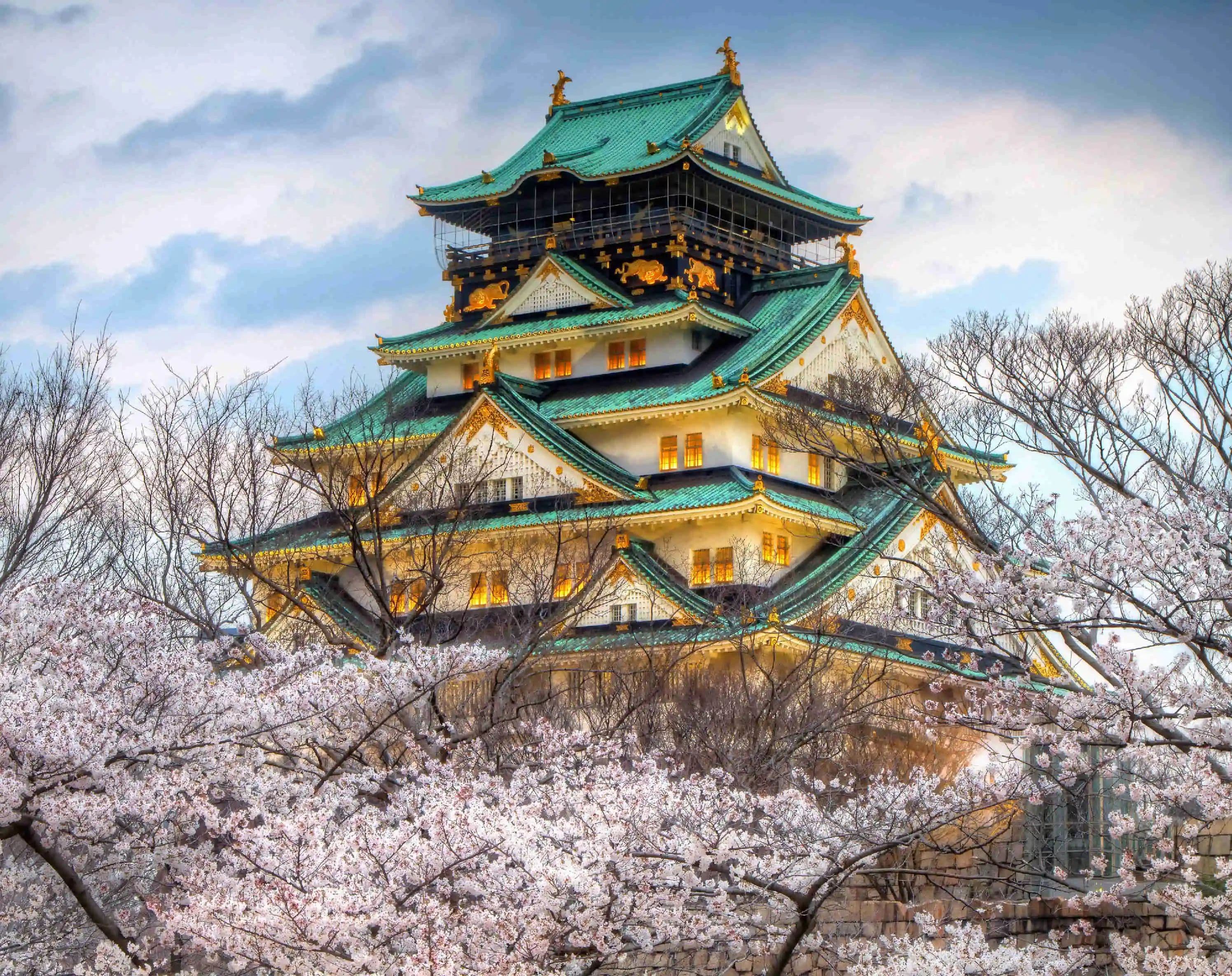日本丨花园南128 大阪一户建民宿