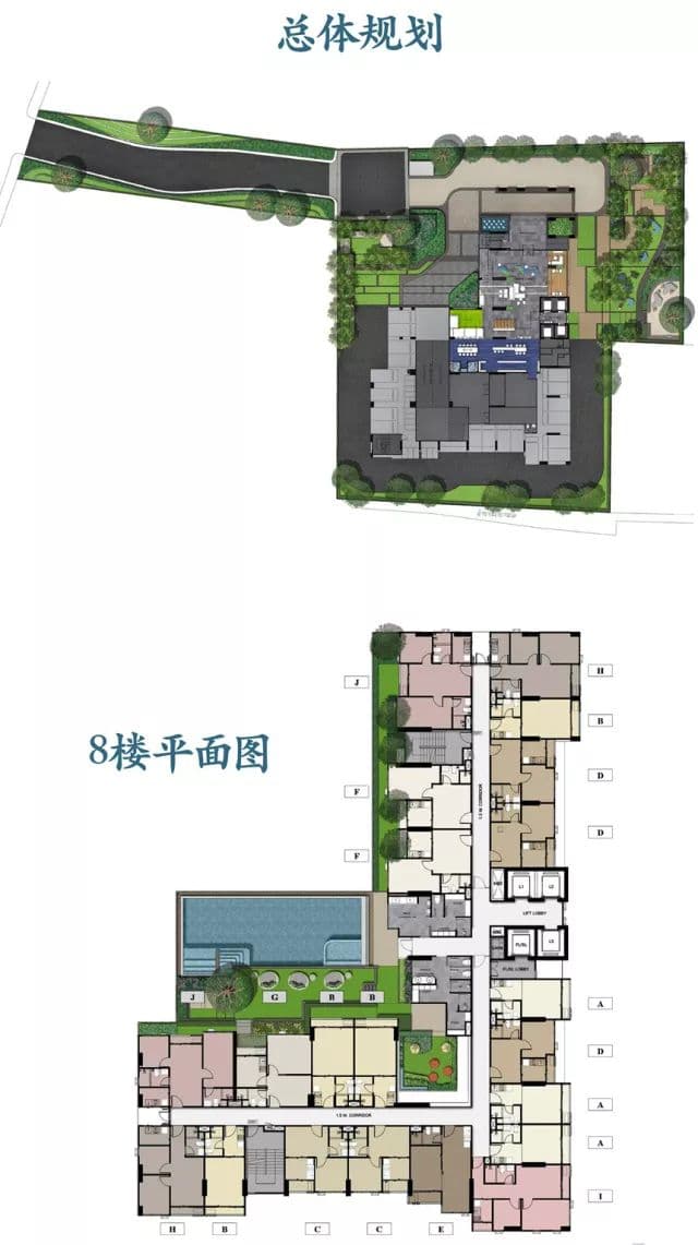 平面图