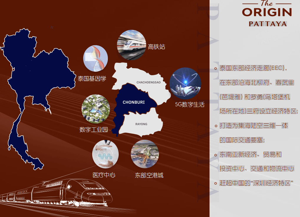 平面图