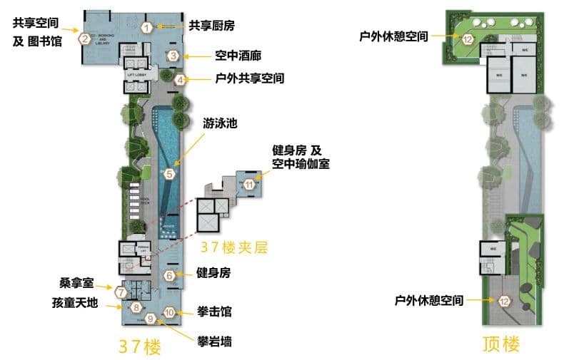 平面图