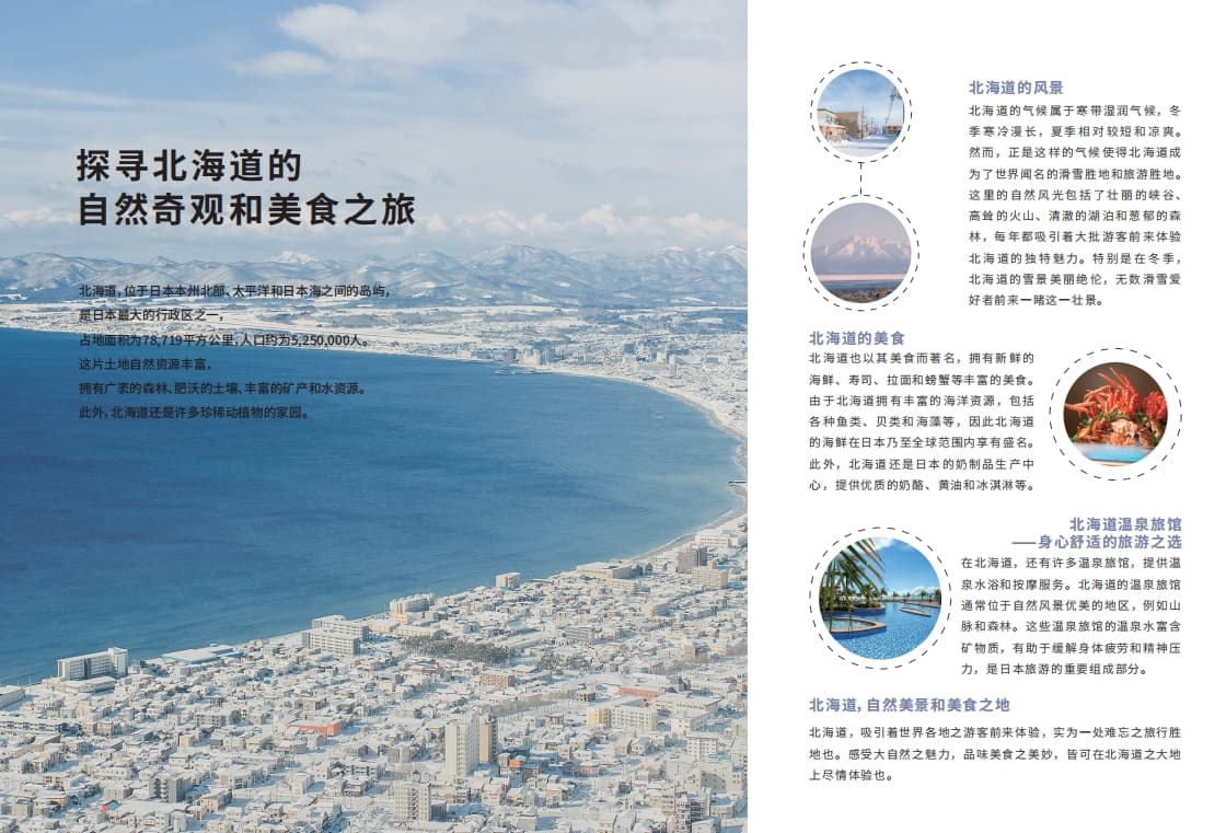 日本北海道二世谷 | 羊蹄山·森の雪独栋别墅