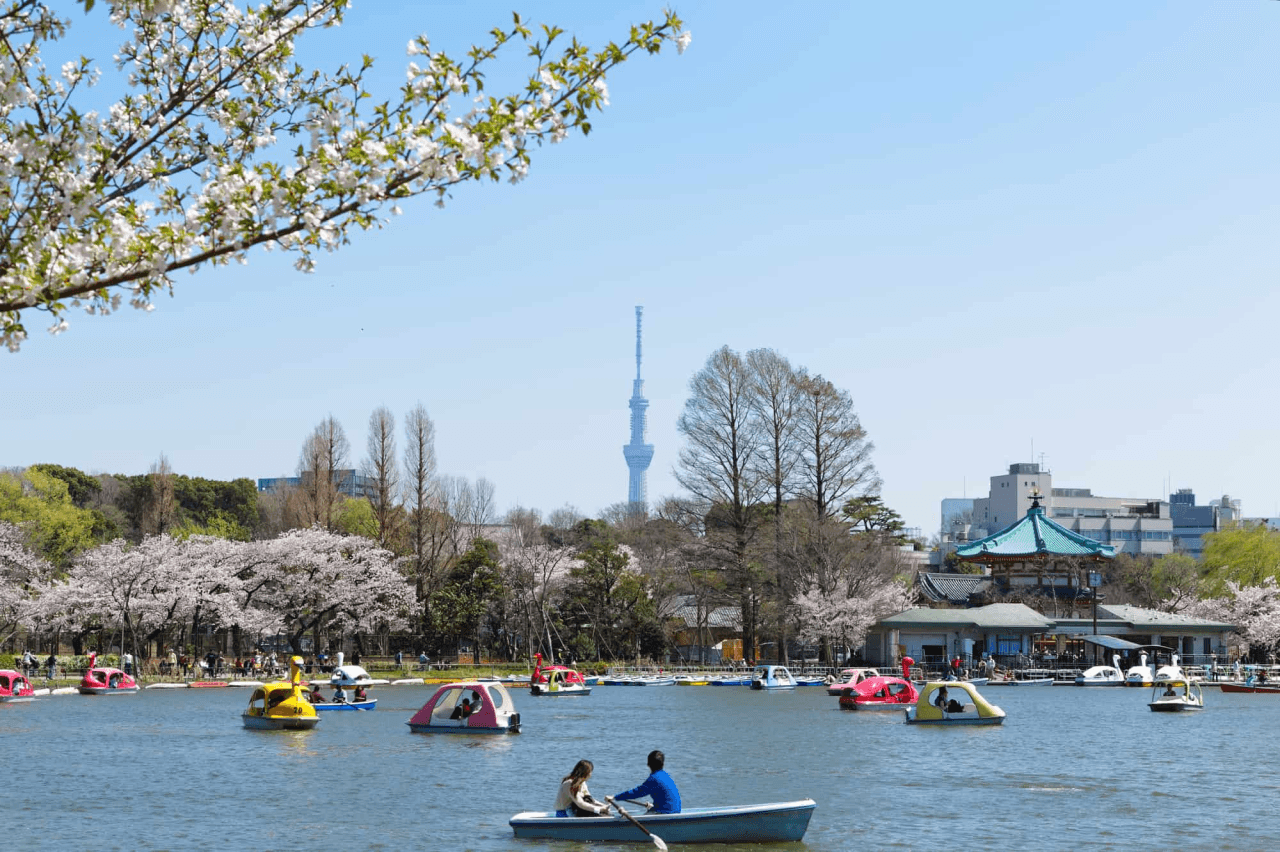 日本房产 | 租赁中!东京都上野商业与住宅用途结合投资楼