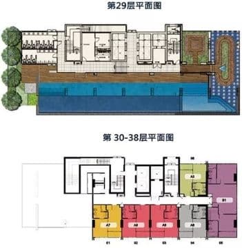 平面图