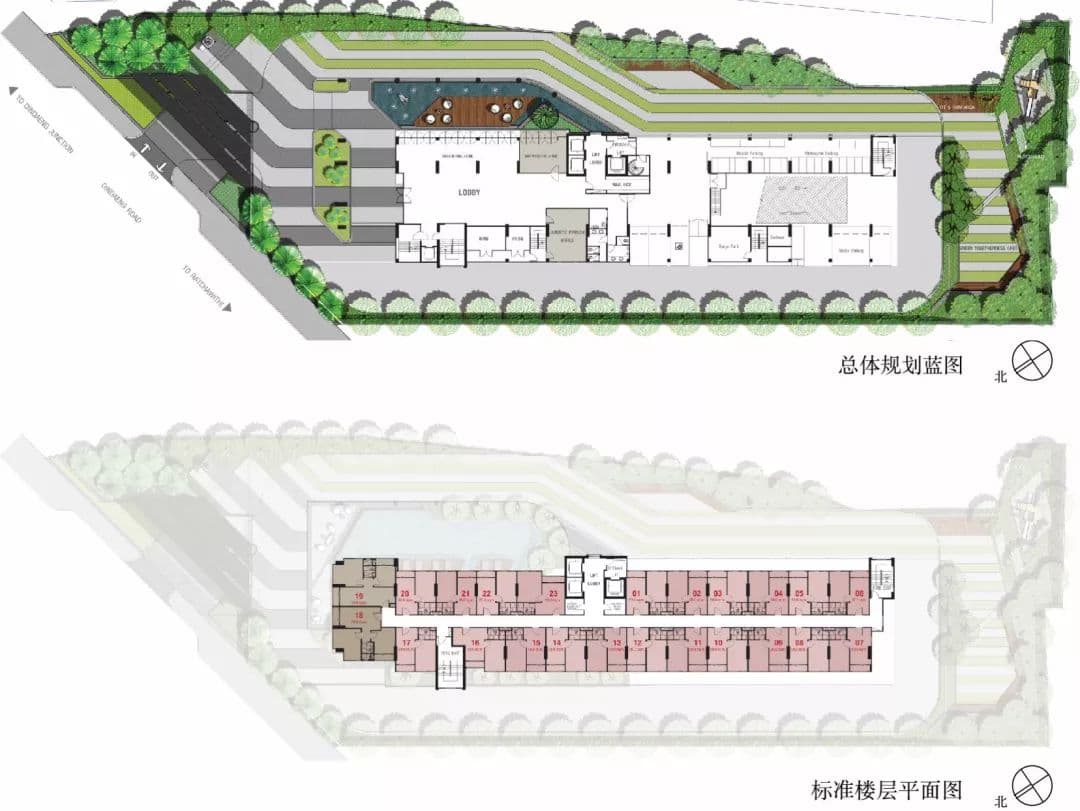 平面图