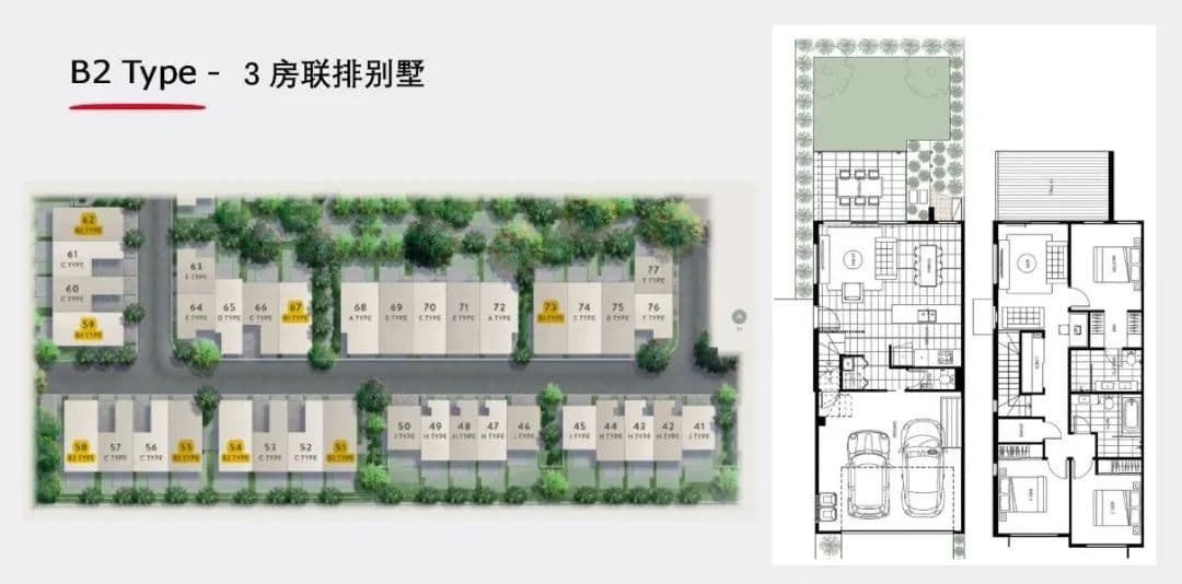 Layout Images