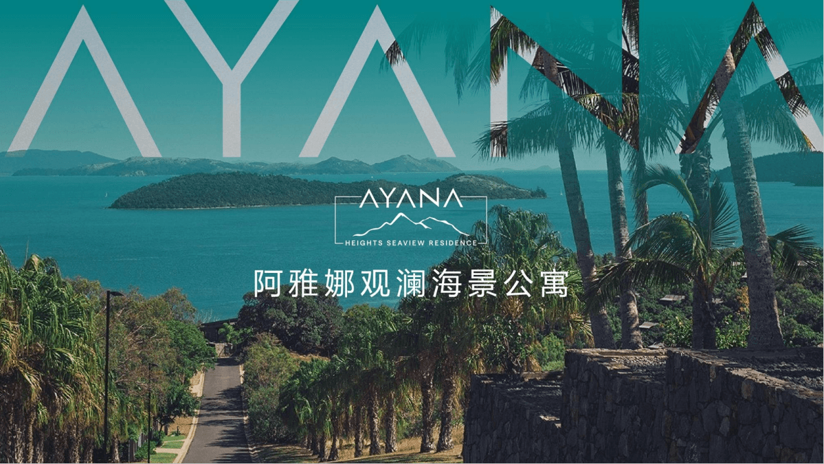 平面图