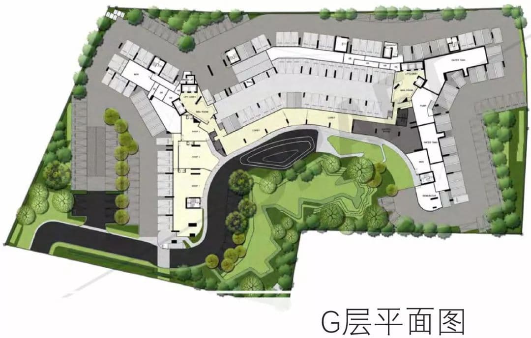 平面图