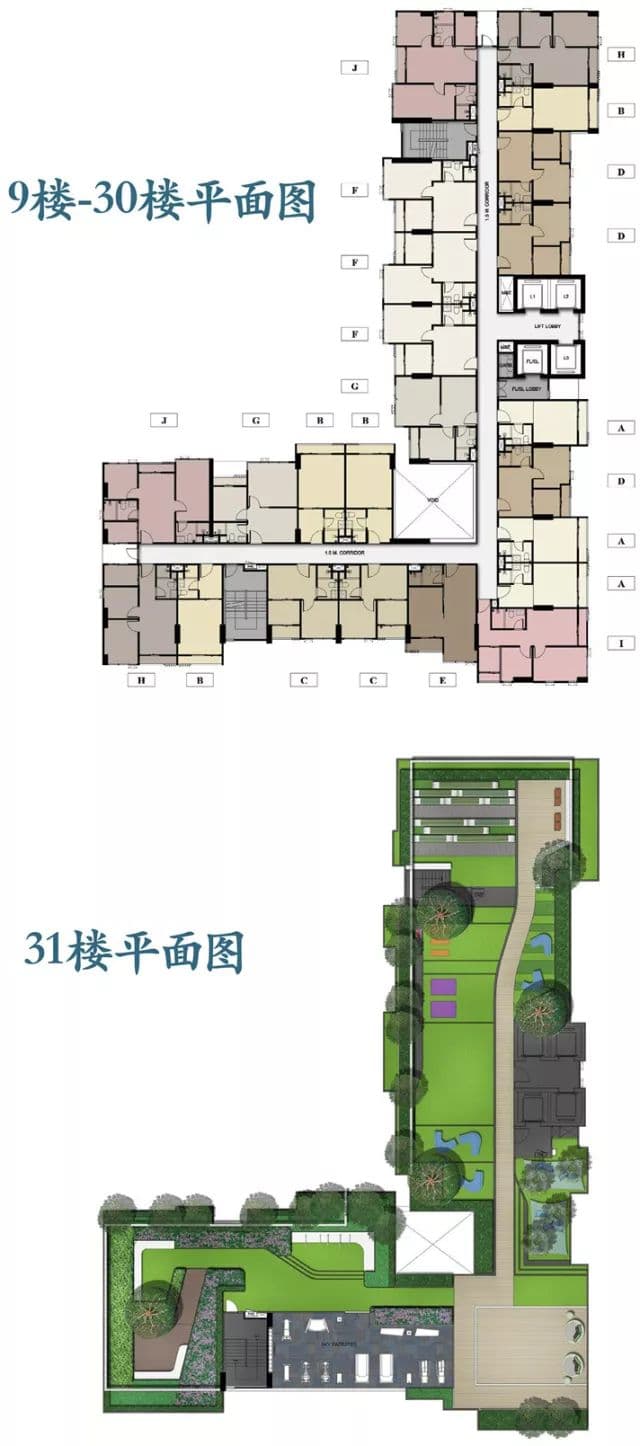 平面图
