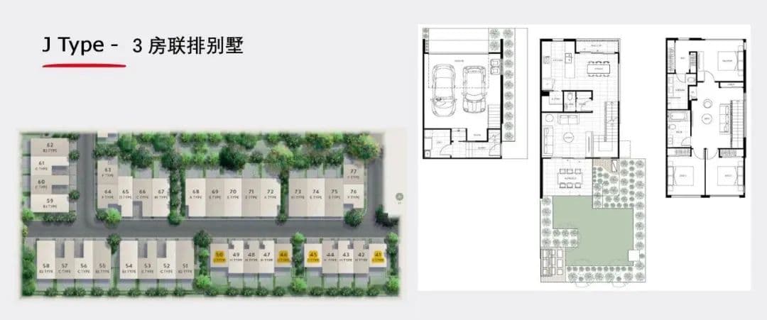 Layout Images