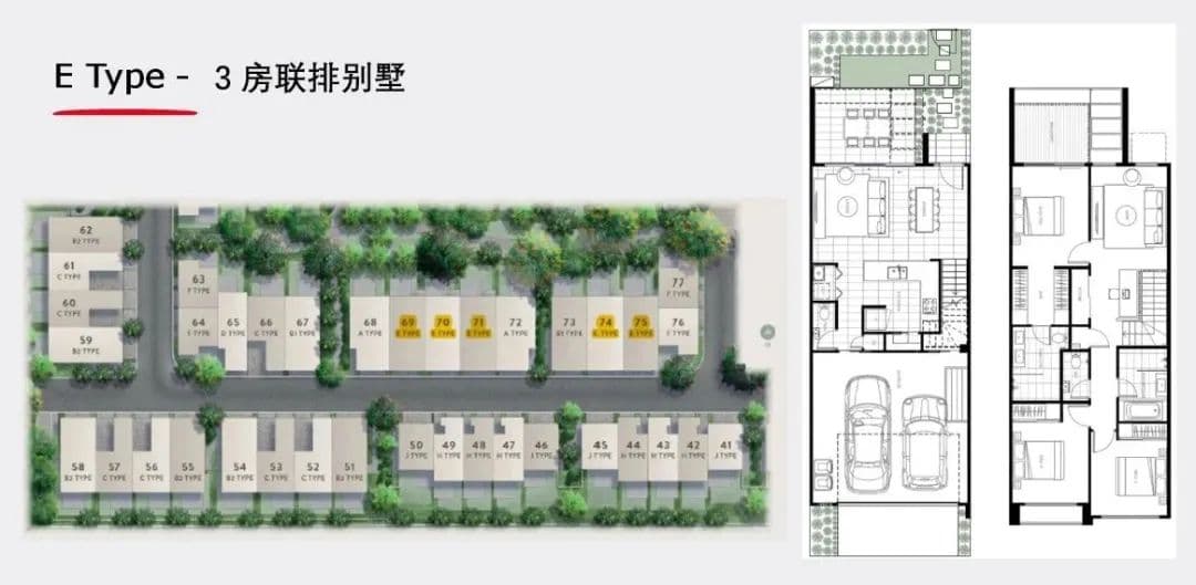 Layout Images