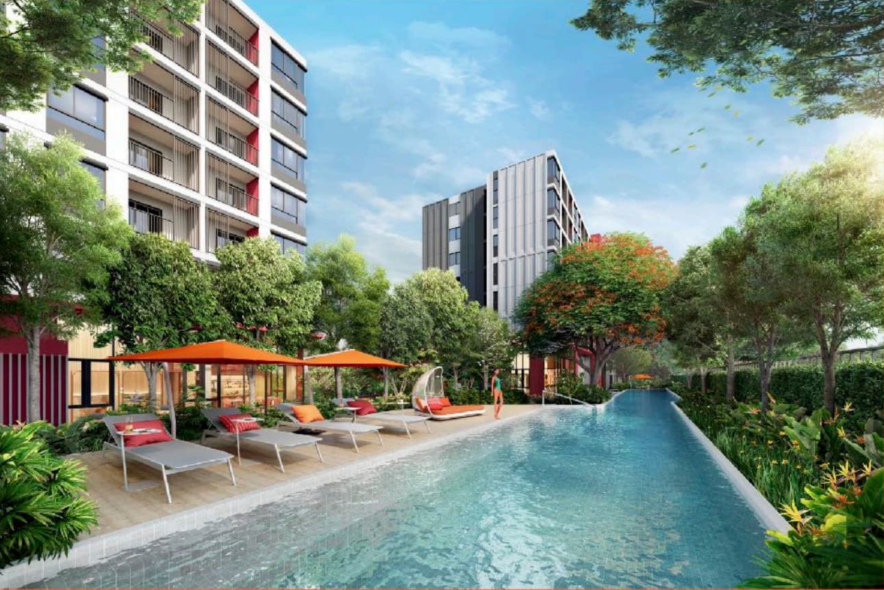 【投资新宠】曼谷大学城D condo VIVID学生公寓：8%高收益率，42万起轻松置业！