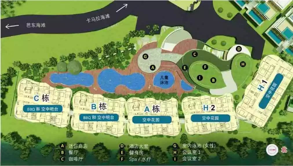 平面图