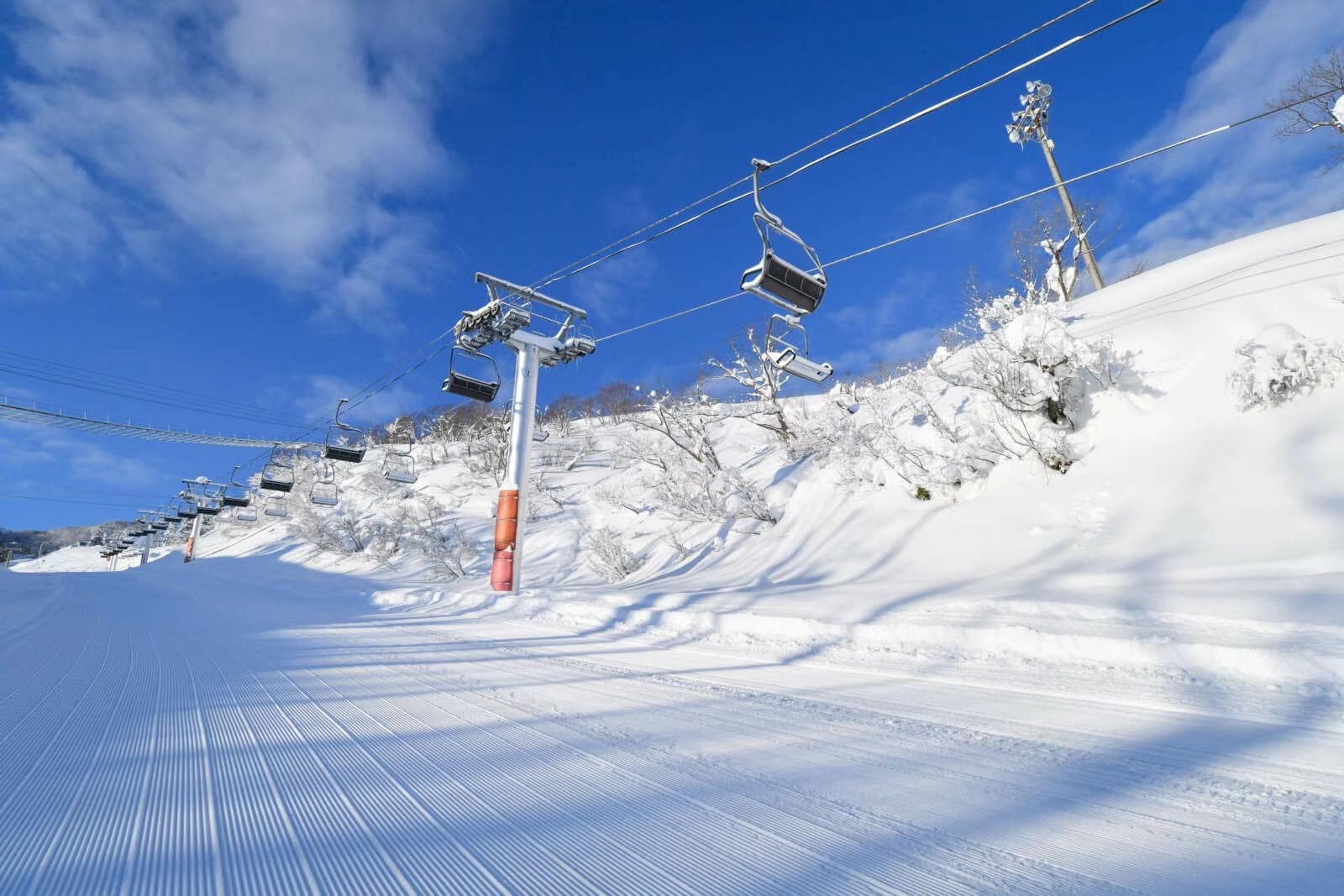 日本新潟县 | 抄底价格!滑雪酒店度假村带私人雪场出售