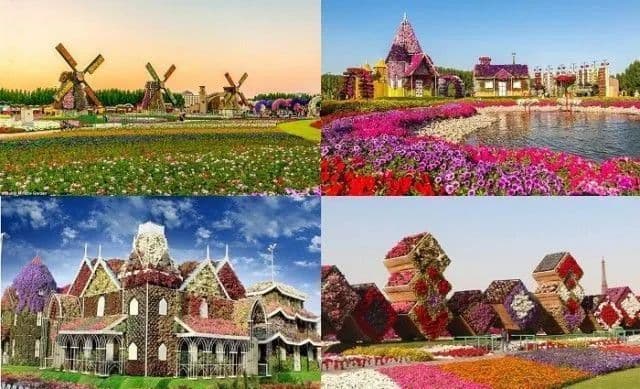 位置图片