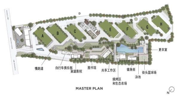 平面图