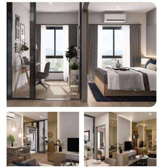 Layout Images