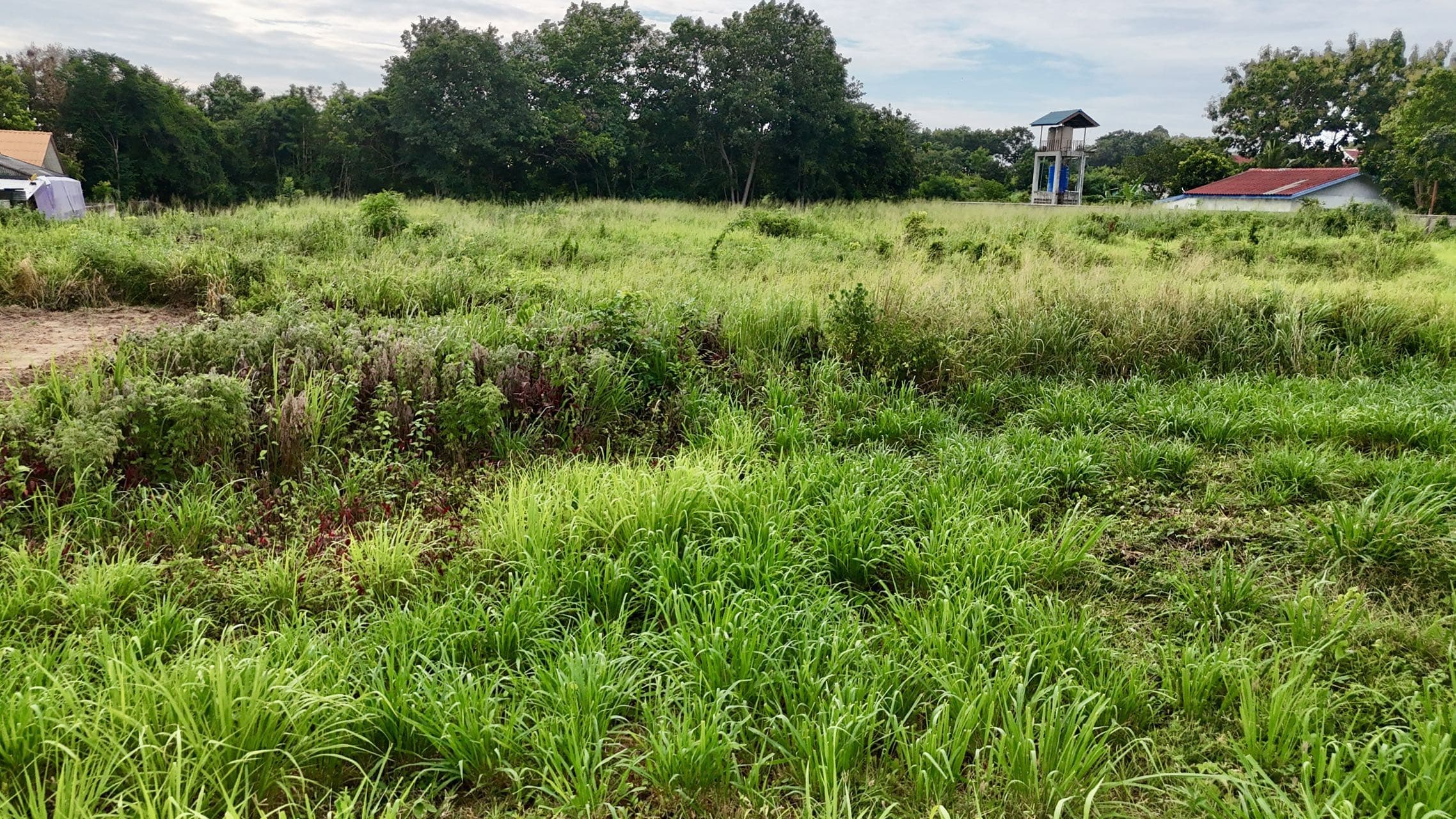 L713 芭提雅市区城市海景土地