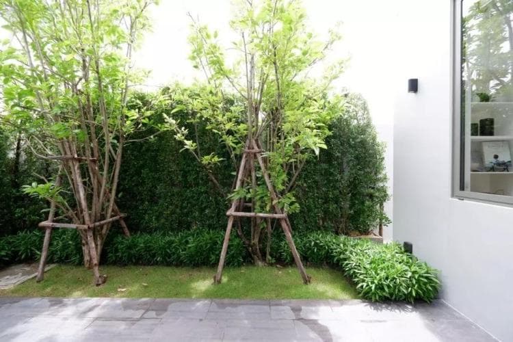 Hvde Park Garden Vibhavadi廊曼西区，独栋别墅 哈罗学区房