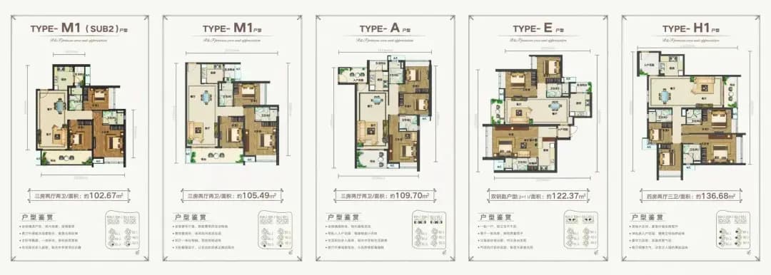 Layout Images