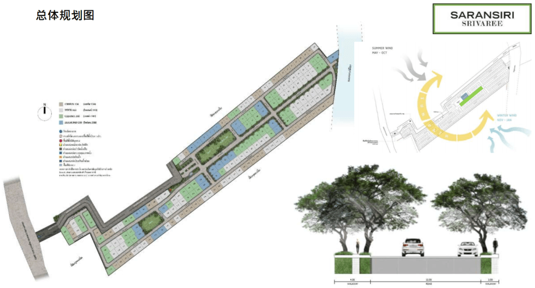 Layout Images