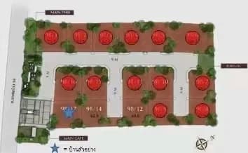 Layout Images