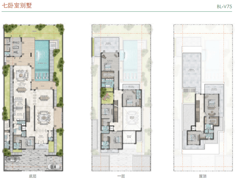 Layout Images