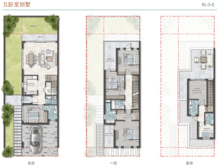 Layout Images
