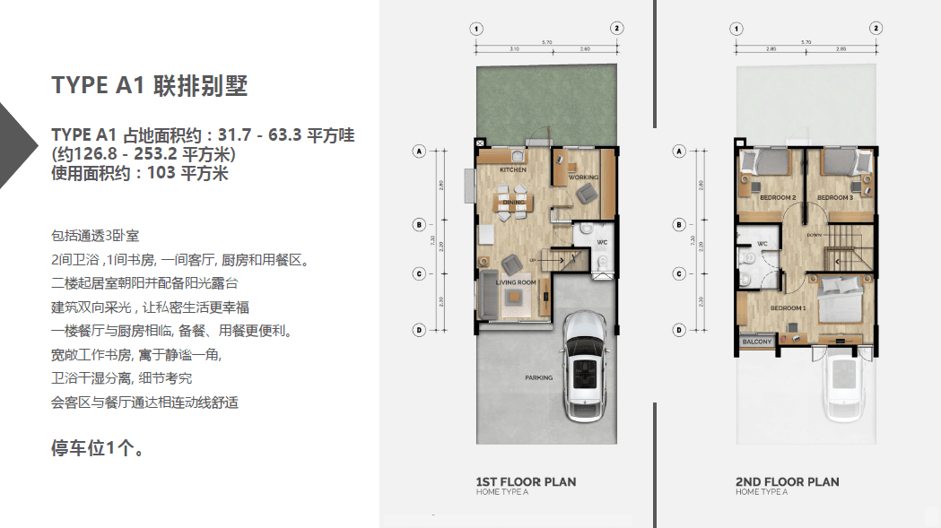 Layout Images