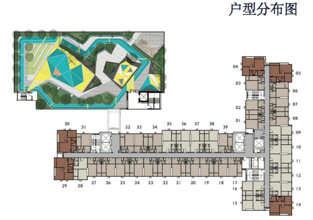 Layout Images