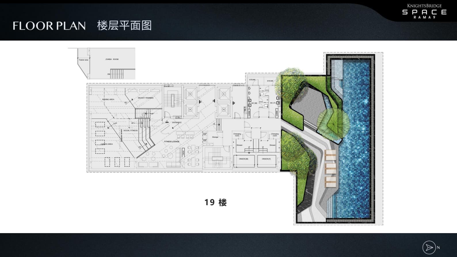 Layout Images