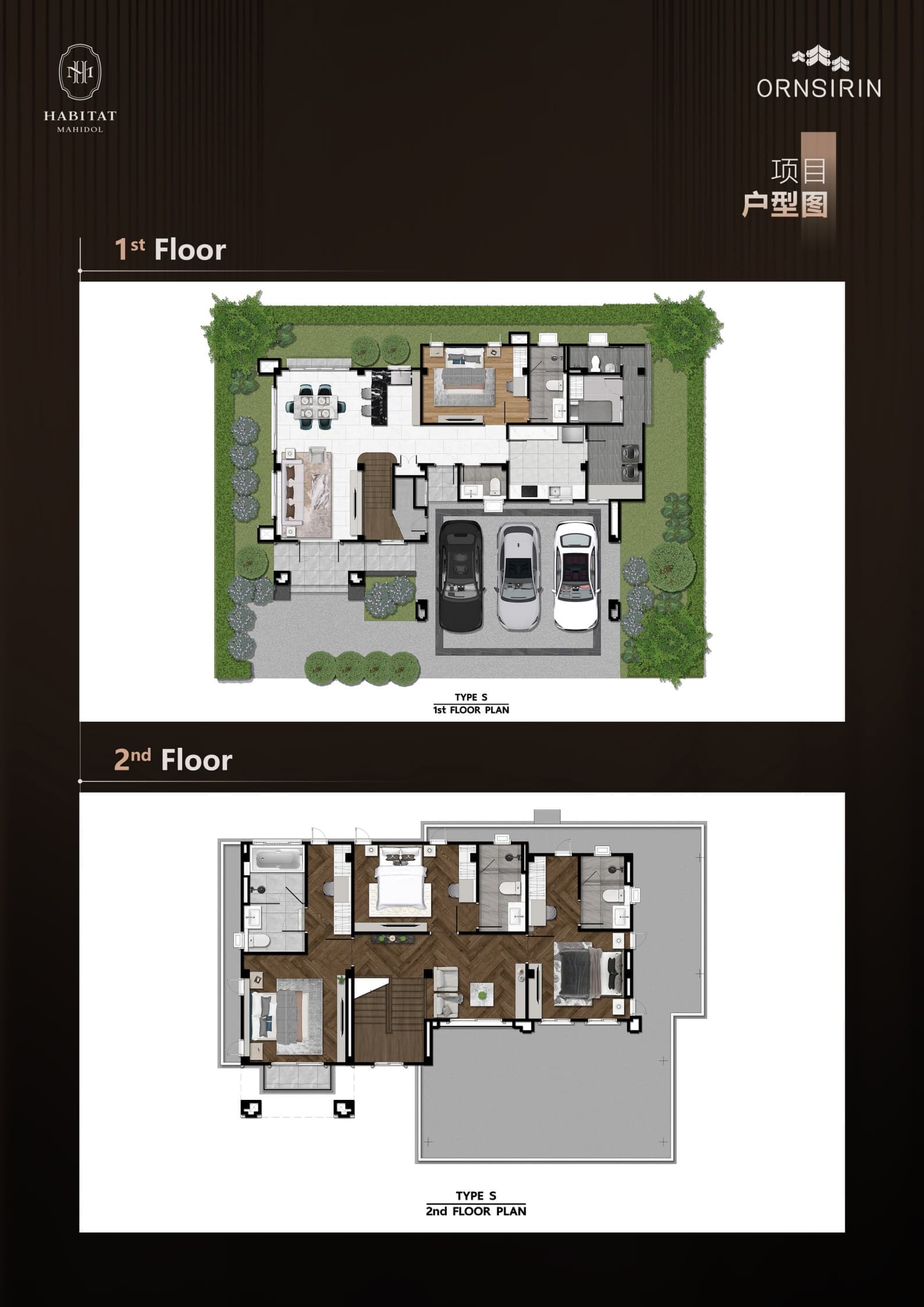 Layout Images