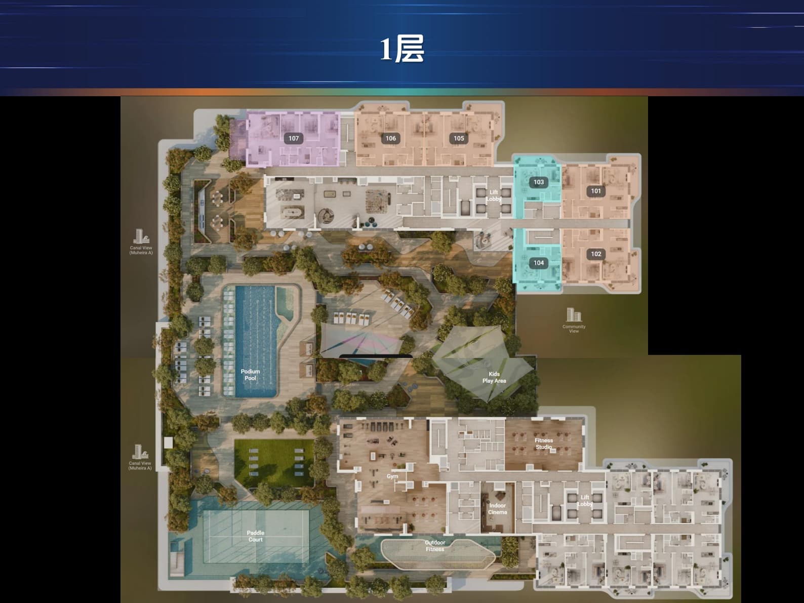 平面图