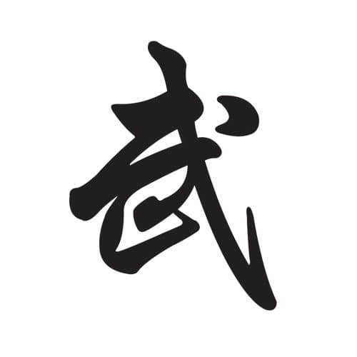 《阿占》访谈 | 专访新加坡武术教练肖长根先生第一期