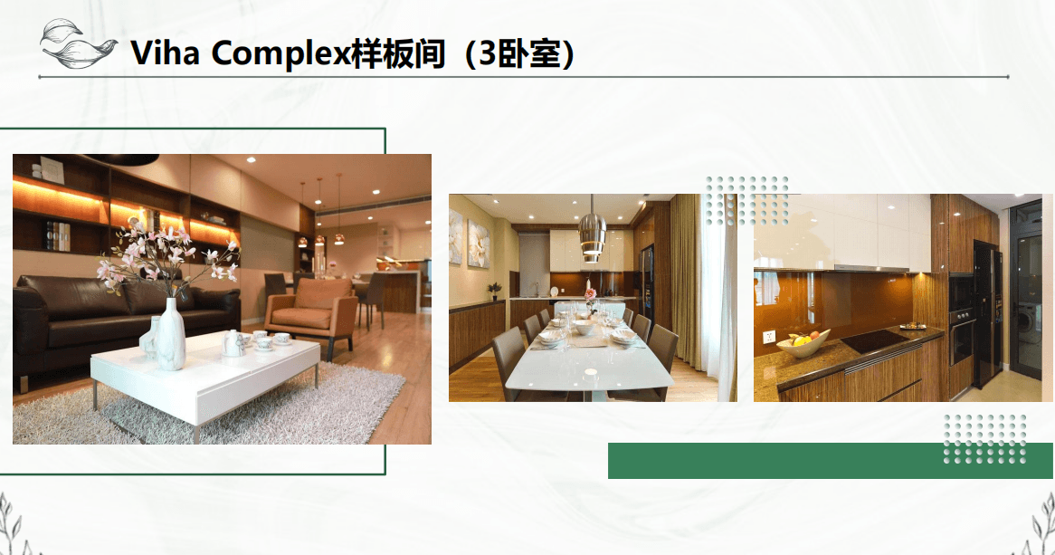 越南 | 河内学区+地铁盘 Viha Complex