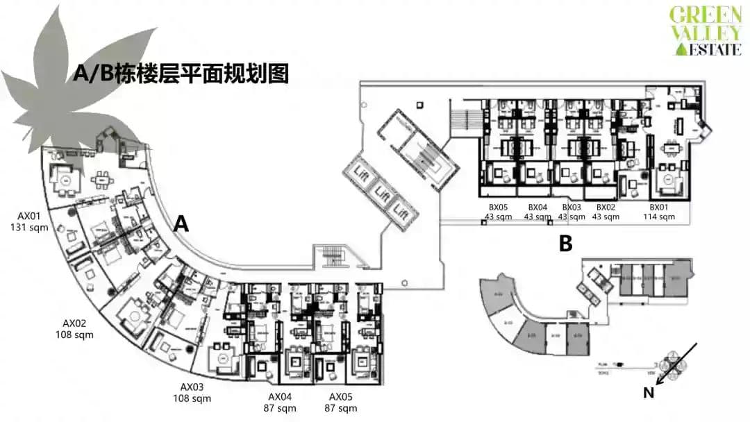 平面图