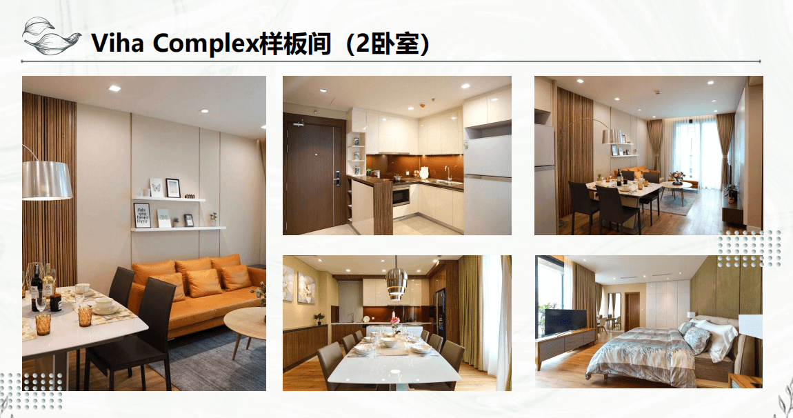 越南 | 河内学区+地铁盘 Viha Complex
