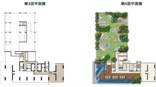 平面图