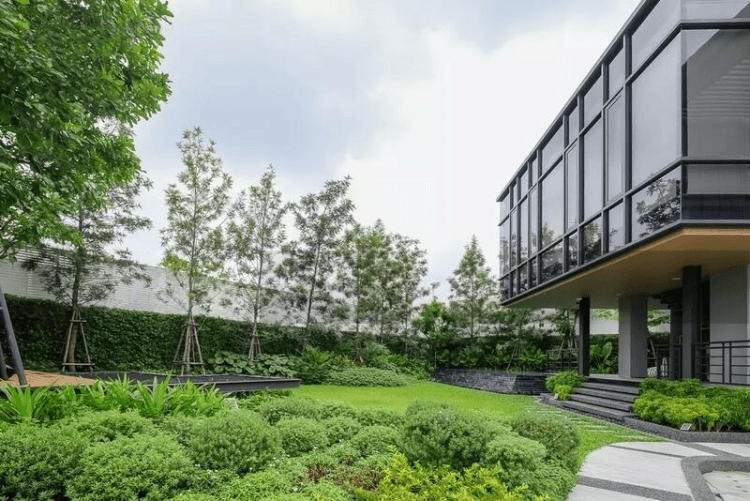 Forest Ratchada 素铁讪区,联排别墅市中心住宅样板间出售