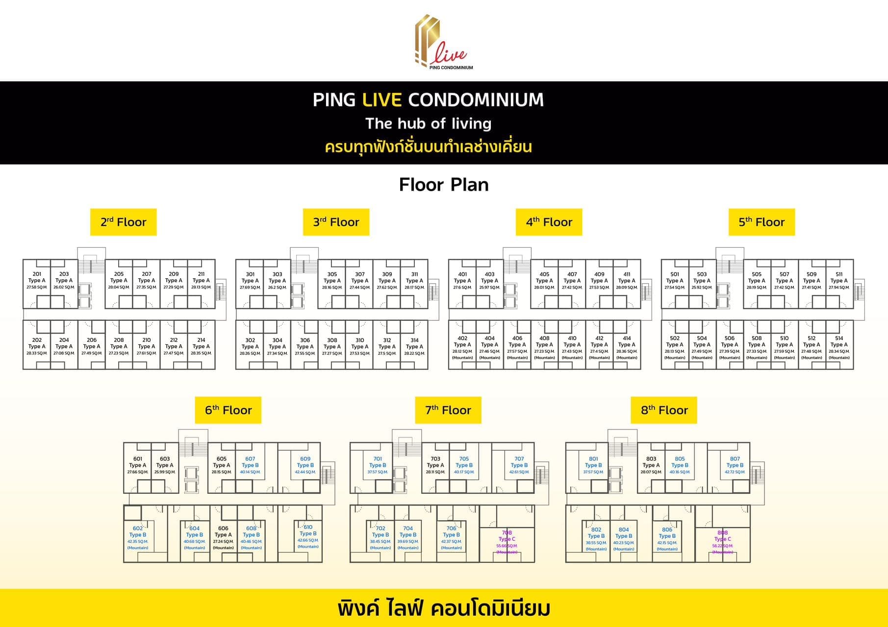 Layout Images