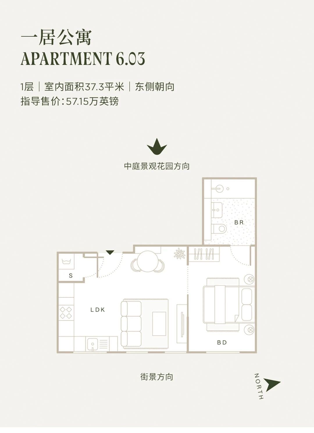 Layout Images