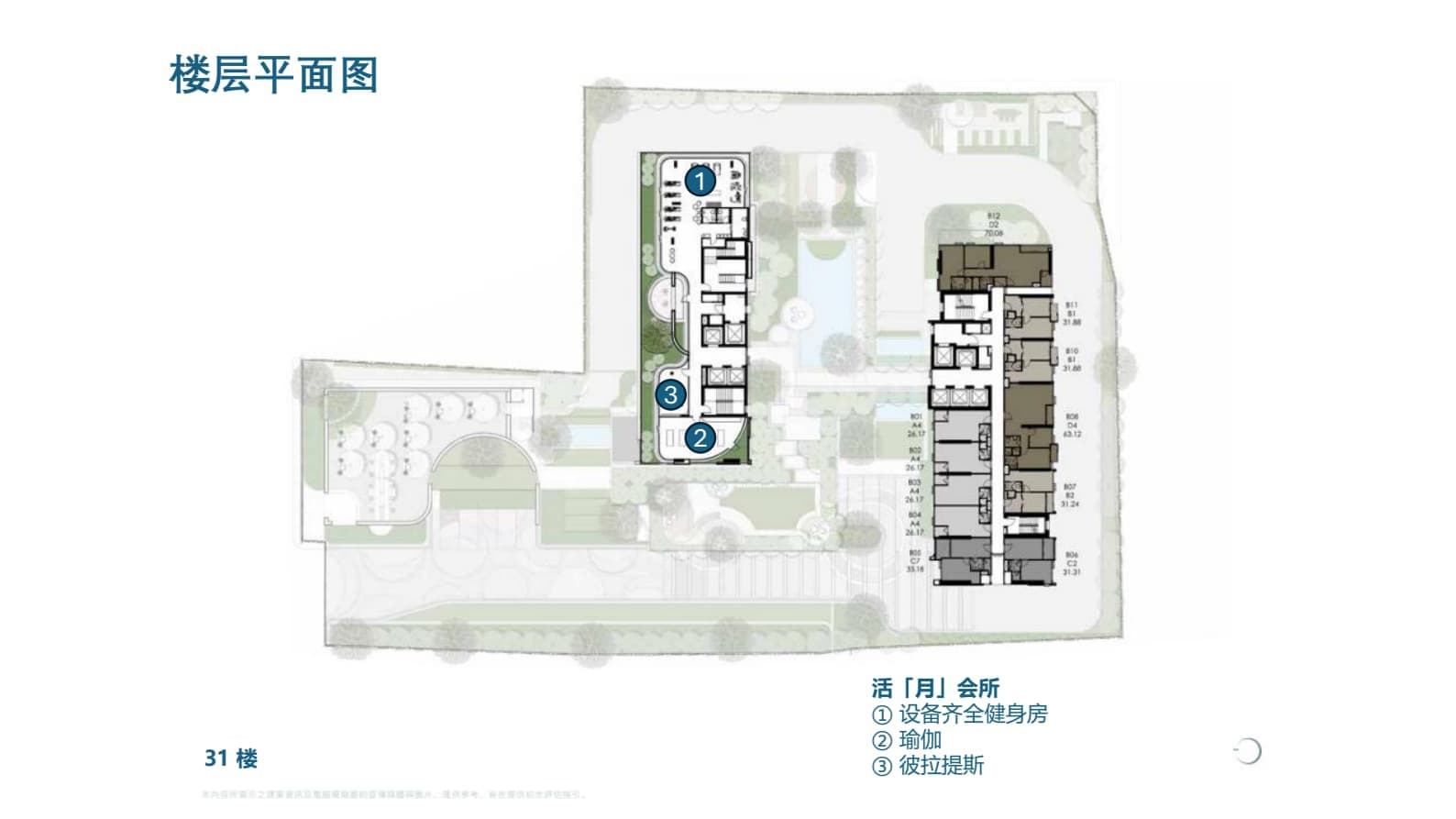 Layout Images