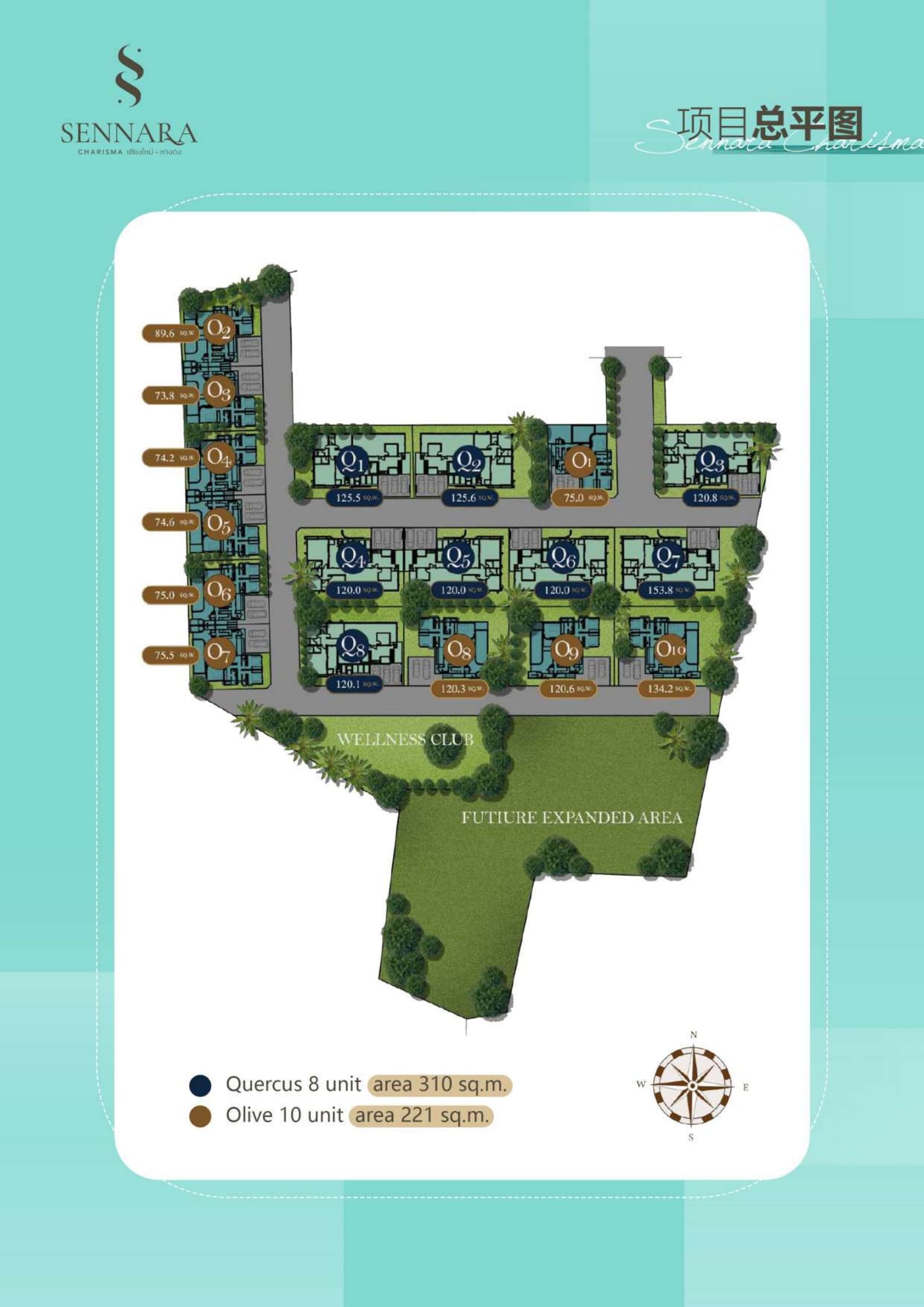 Layout Images