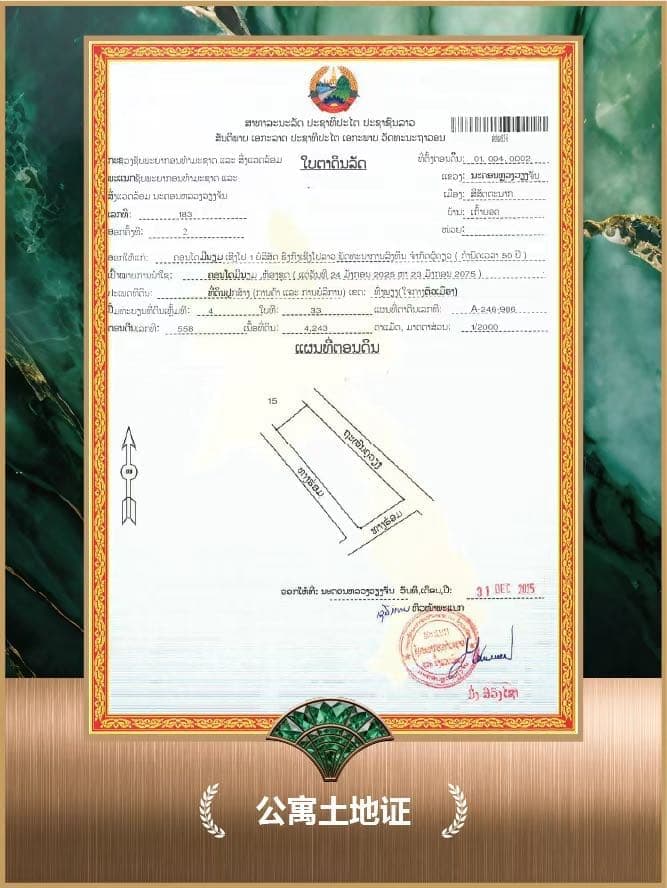 Other Images